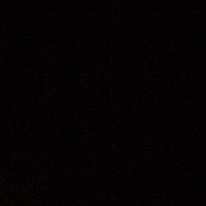 Meet your Posher, Brady